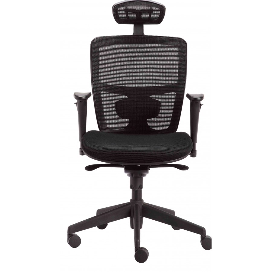 Norma Mesh Back Ergonomic Posture Chair